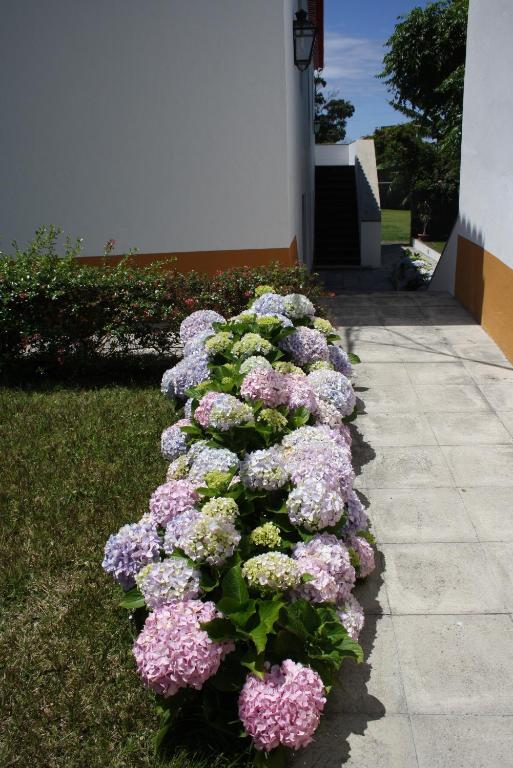 Quinta De Sao Caetano - Sao Miguel Acores Populo  Værelse billede